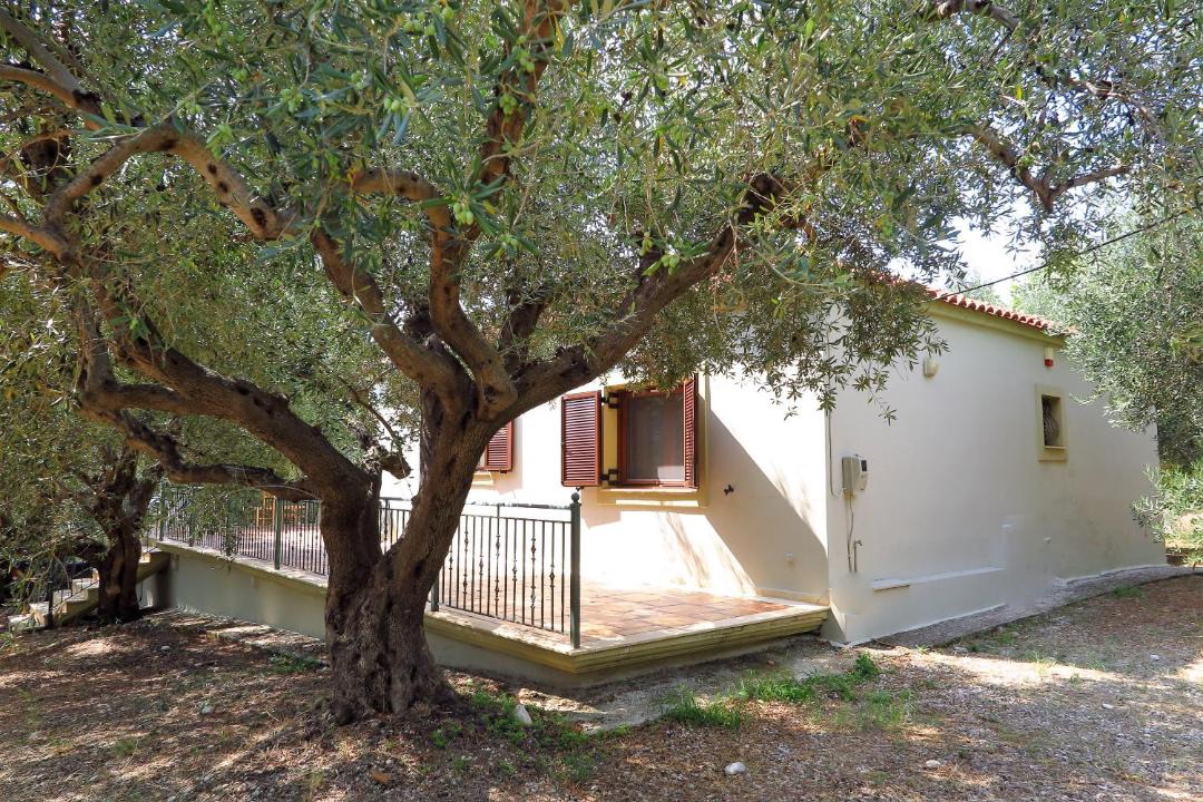 Photo of Others in Zalongo