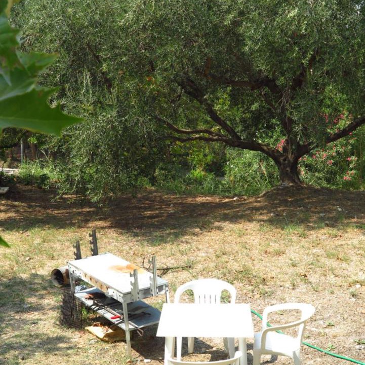 Photo of Others in Zalongo