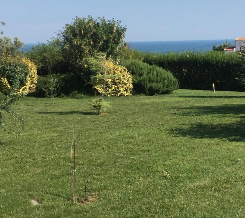 Photo of Others in Alexandroupoli