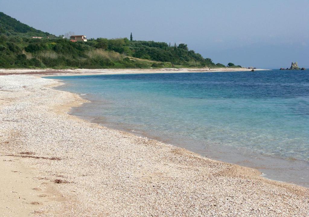 Photo of Others in Zalongo
