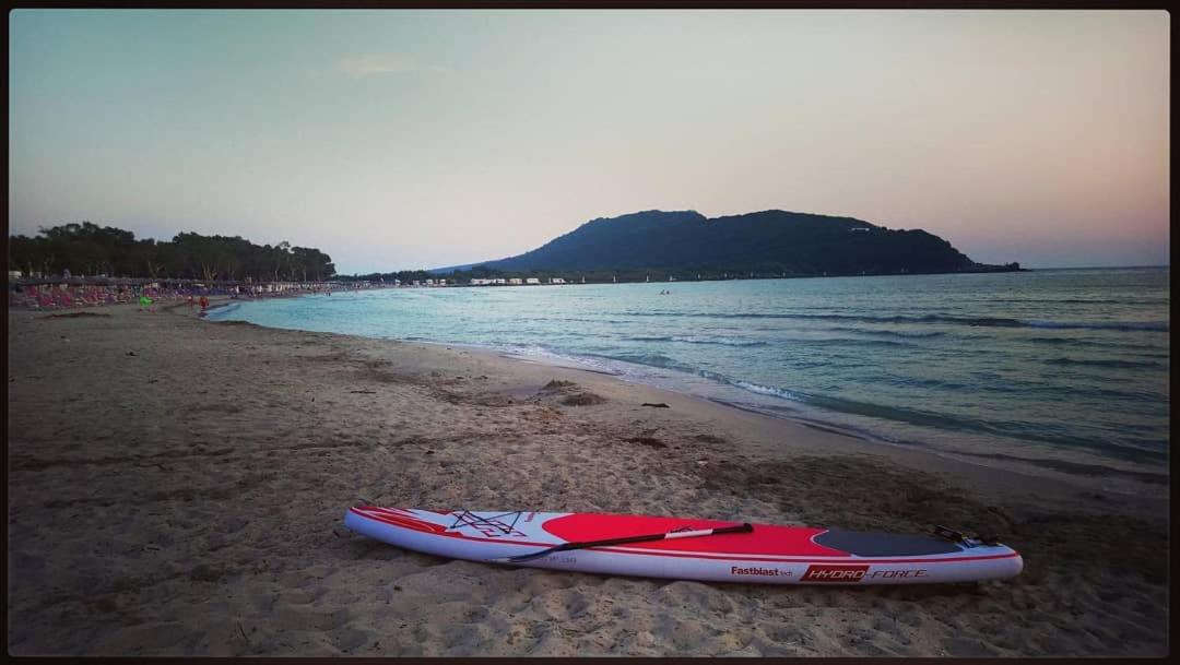 Photo of Others in Ammoudia