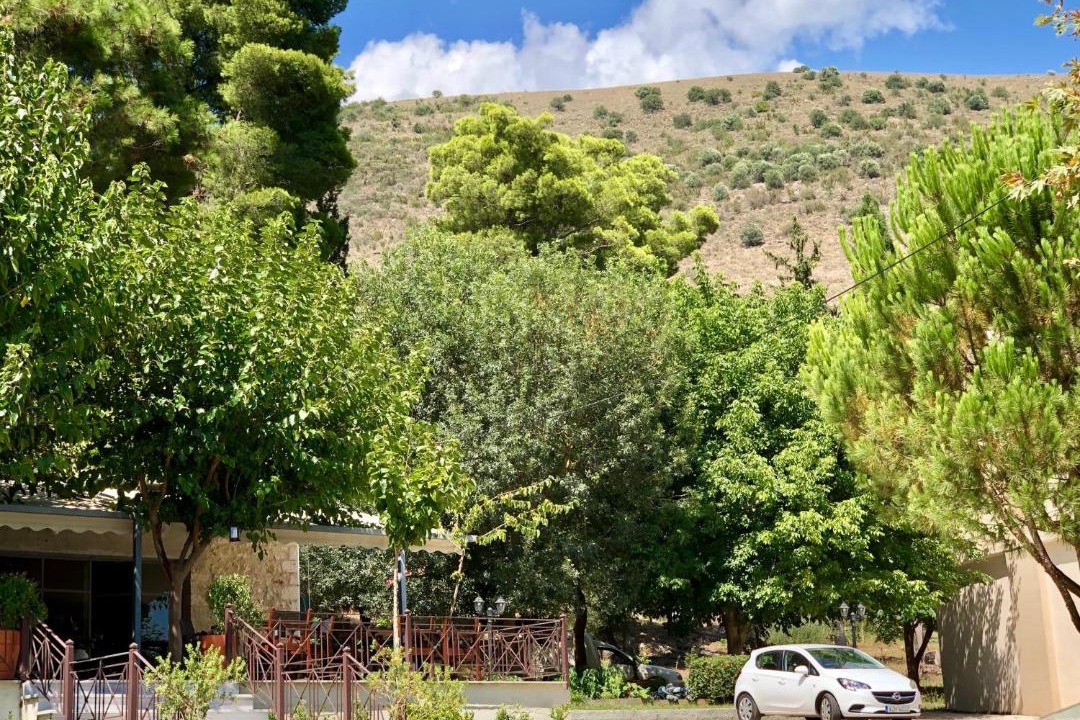 Photo of Others in Arta