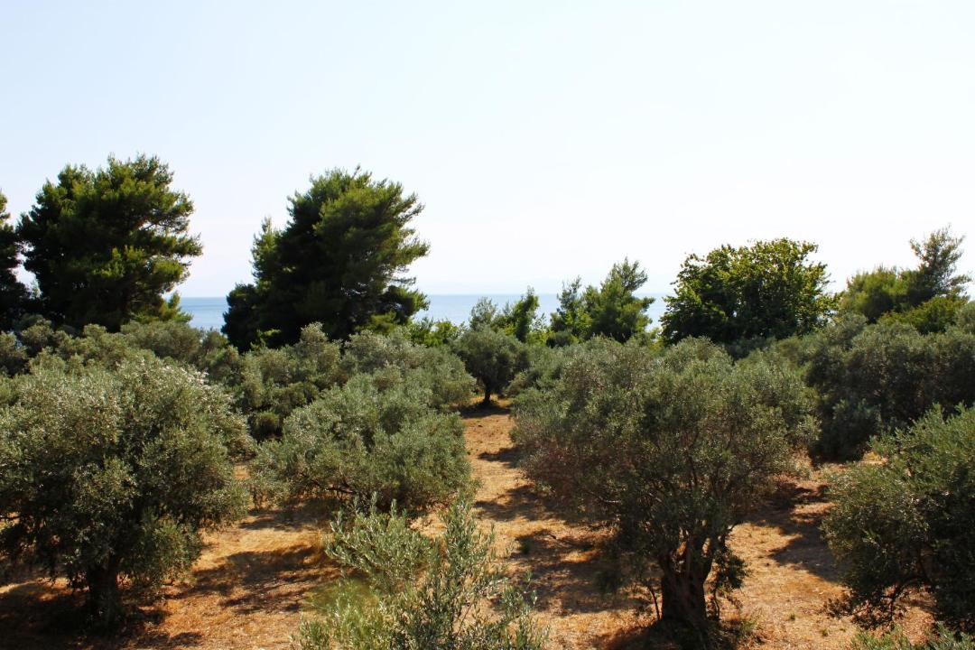 Photo of Others in Veria