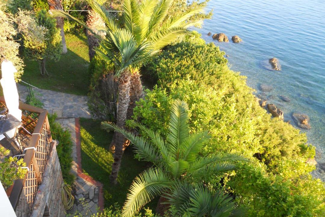 Photo of Outdoor in Horto