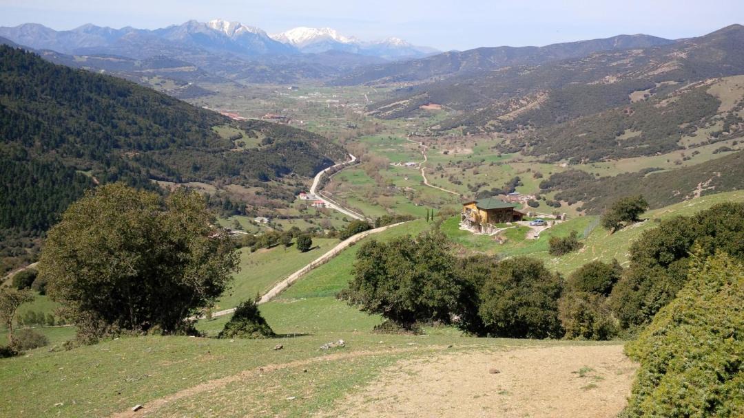 Photo of Others in Kalavrita