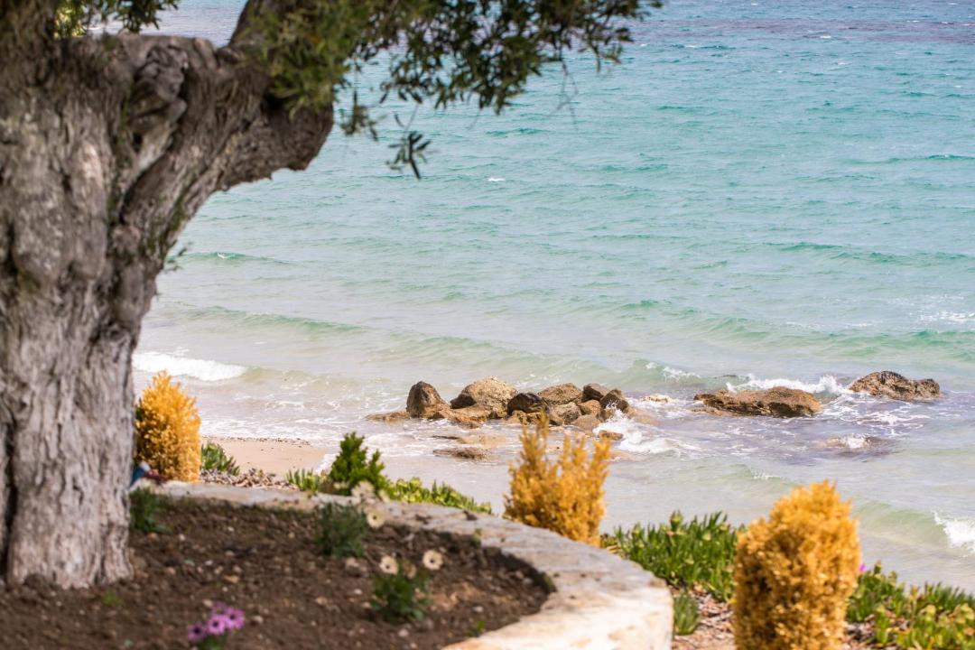Photo of Others in Kassandra