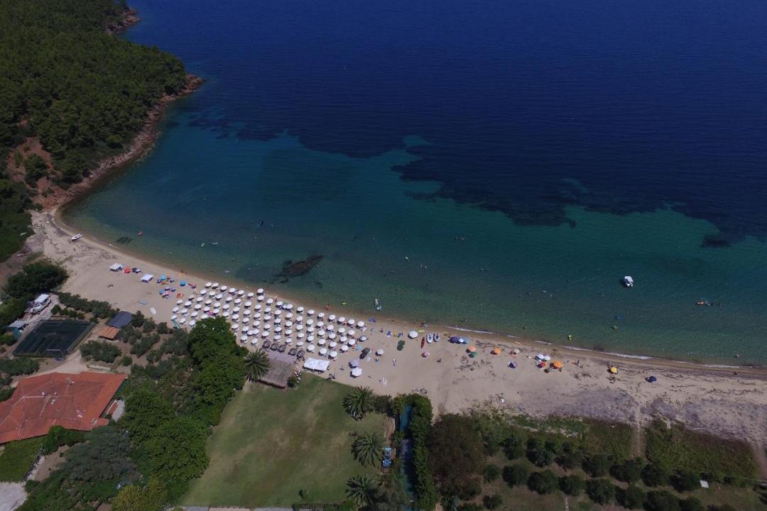 Photo of Others in Aristotelis