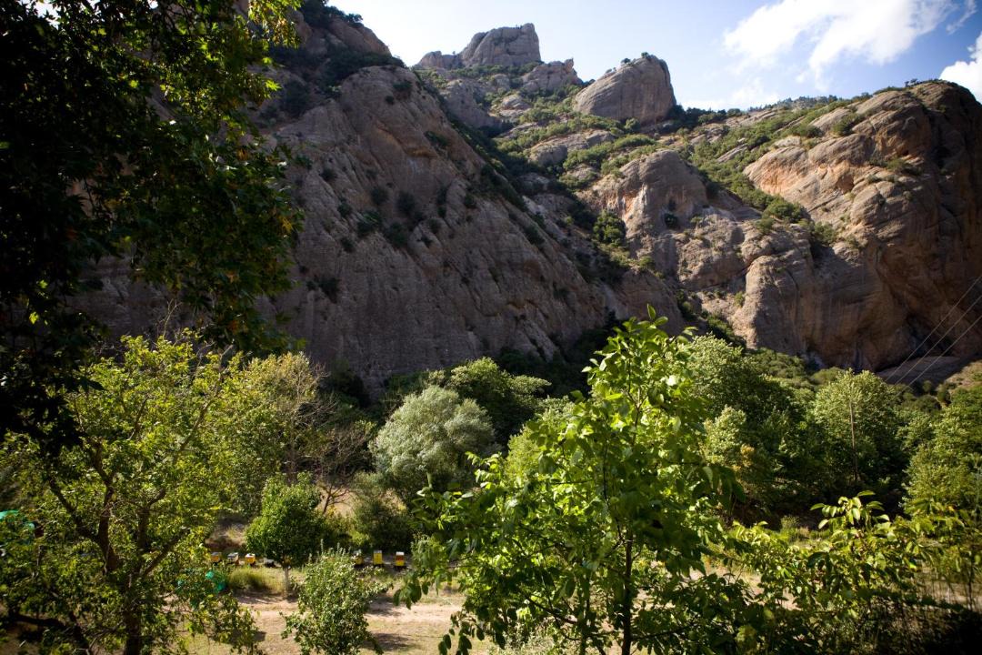 Photo of Others in Kalavrita
