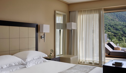 Deluxe Double Room Sea View with Private Pool
