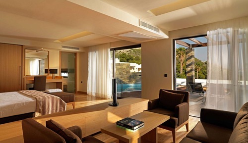 Deluxe Suite, 1 King Bed, Garden View (Junior,Private Pool)