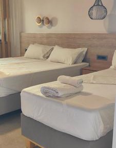 Basic Triple Room