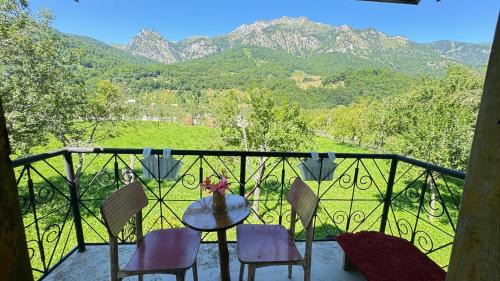 Family Room with Mountain View