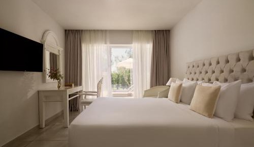 Standard Suite