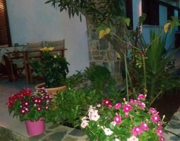 Superior Double or Twin Room with Garden View