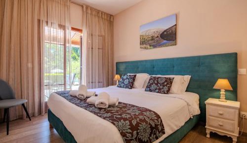 Double Room with Pool View