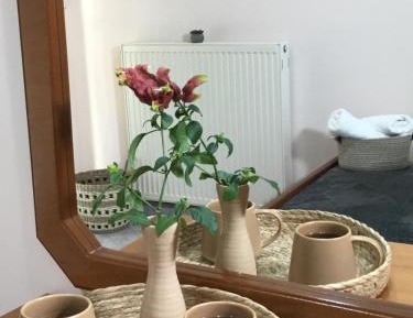 Single Room with Terrace