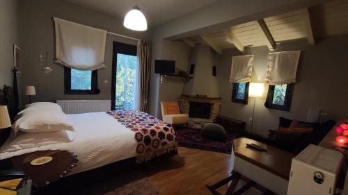 Superior Double Room with Mountain View