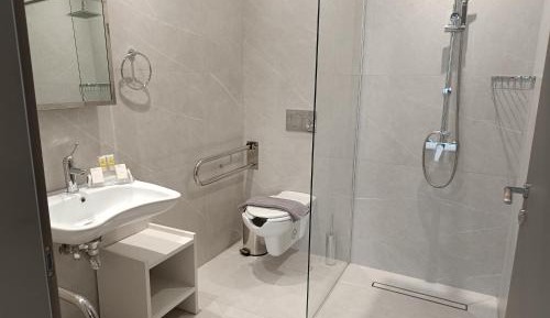 King Room with Roll-In Shower - Disability Access