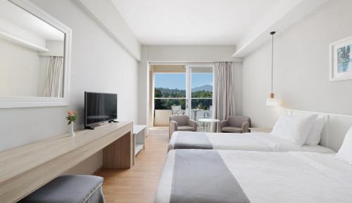 Double or Twin Room with Mountain View