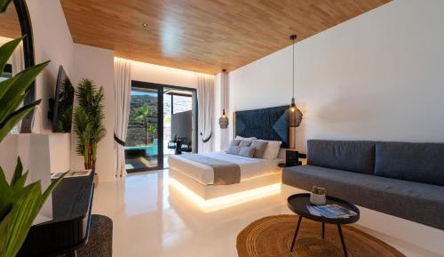 Deluxe Suite with Private Infinity Pool