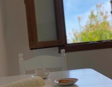 Studio (3 Adults)