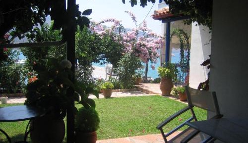 Studio with Garden View
