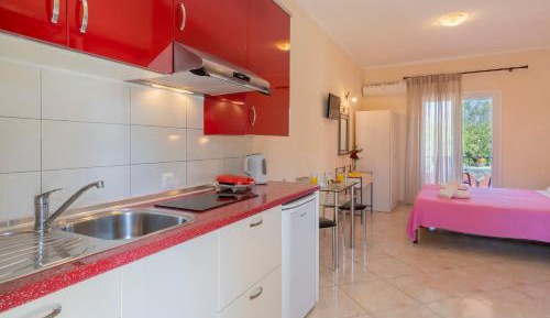 Studio (2-3 Adults) with Pool View
