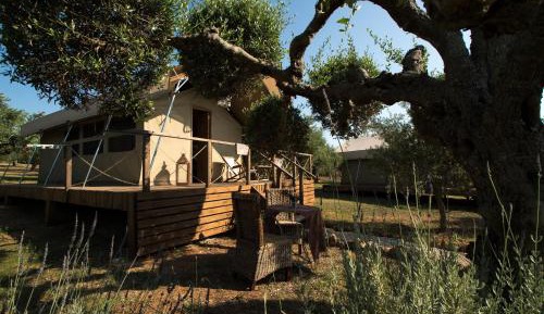 Glamping Tent with Pool View 