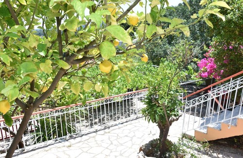 Oropos Apartment | Stunning sea view apartment,five minutes to Amphiareion mountain ancient site