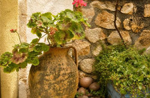 Himare Bed & Breakfast | Authentic Stay Old Town Himara