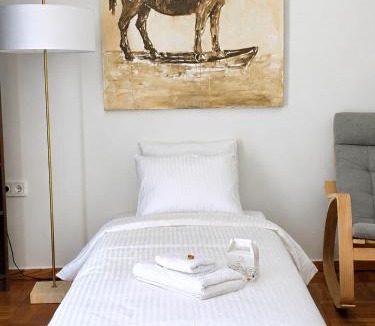 Gazi Apartment | Spacious Art Apartment in Gazi 2 min Metro