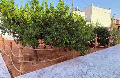 Pikermi Apartment | LemonTreesHouses 1 Peaceful Stay Near Athens Airport & Rafina Port