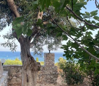 Pylos-Nestoras Villa | Olive & Sea Villa Koroni