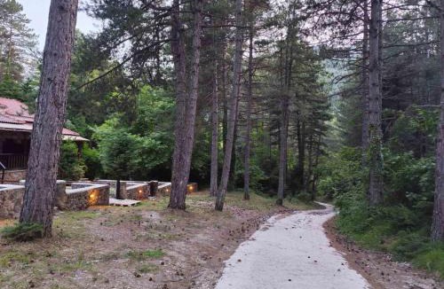 Zarouhla Ski Chalet | Elatolithos