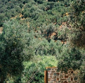 Melinta Other | Elaion Estate - Athena
