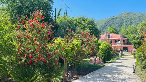 Ipsos Villa | Villa Valia Seaside