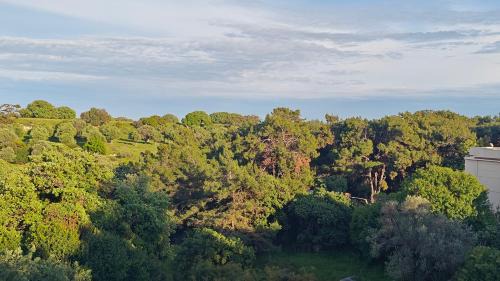 Petaloudes Villa | Sweet Dream