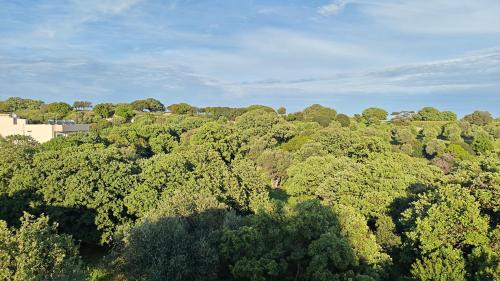 Petaloudes Villa | Sweet Dream