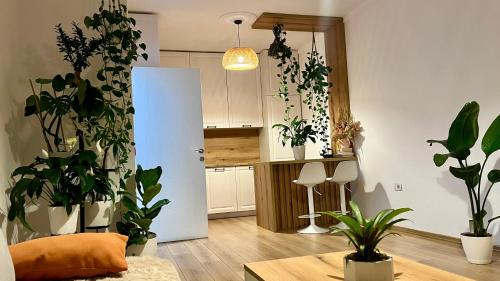 Dajt Apartment | Plant apartment