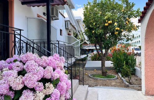 Ammoudia House | Villa Xenia