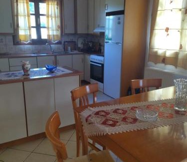 Konitsa Apartment | Theasi