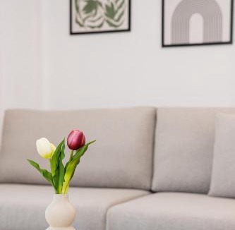 Pangaio Apartment | Green Almond's Comfort Apartment