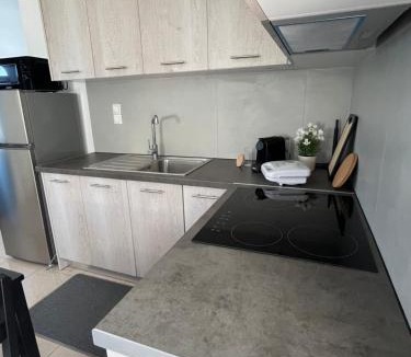 Kalligoni Apartment | Cozy Apartments in city's suburbs #1st floor