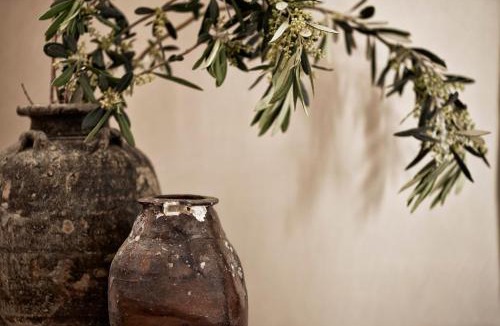 Agios Prokopios Villa | Luxury Naxos Villas Honeymoon Villa Air Conditioning Private Pool