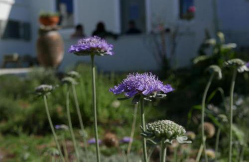 Vatolakkos Villa | Yitonia- Cretan Village Home