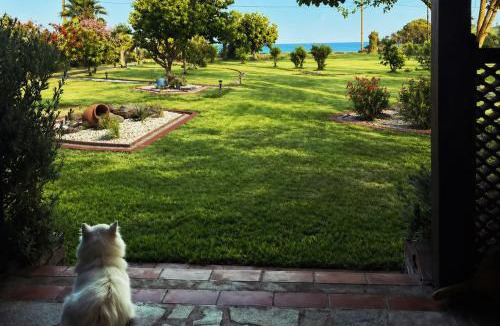 Kalamitsi Villa | Nisaki Seafront Villa