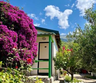 Dhermi Ski Chalet | Chalet Ambel