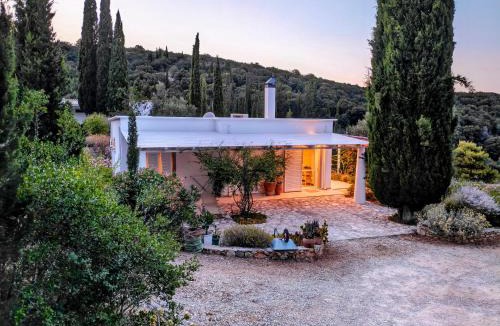 Elation Villa | Villa Buras