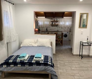 Trapeza House | A modern farmhouse with big garden