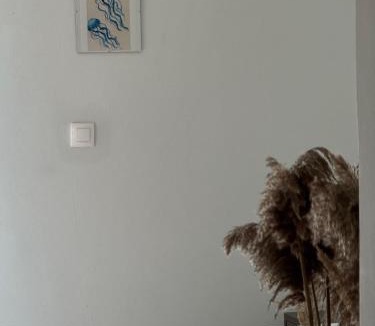 Marathias Apartment | Thalassa apartments